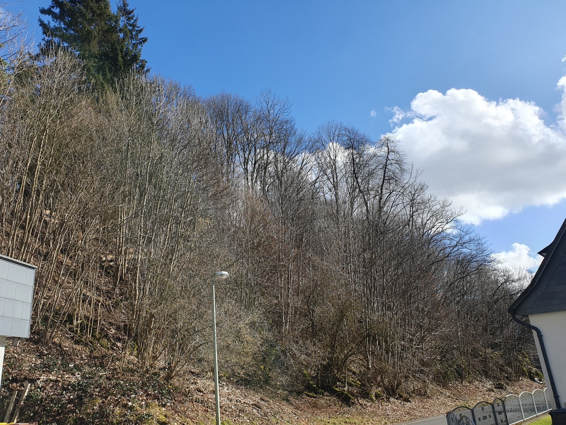 Bad Laasphe: Vertragsfreies Hanggrundstück im Stadtgebiet