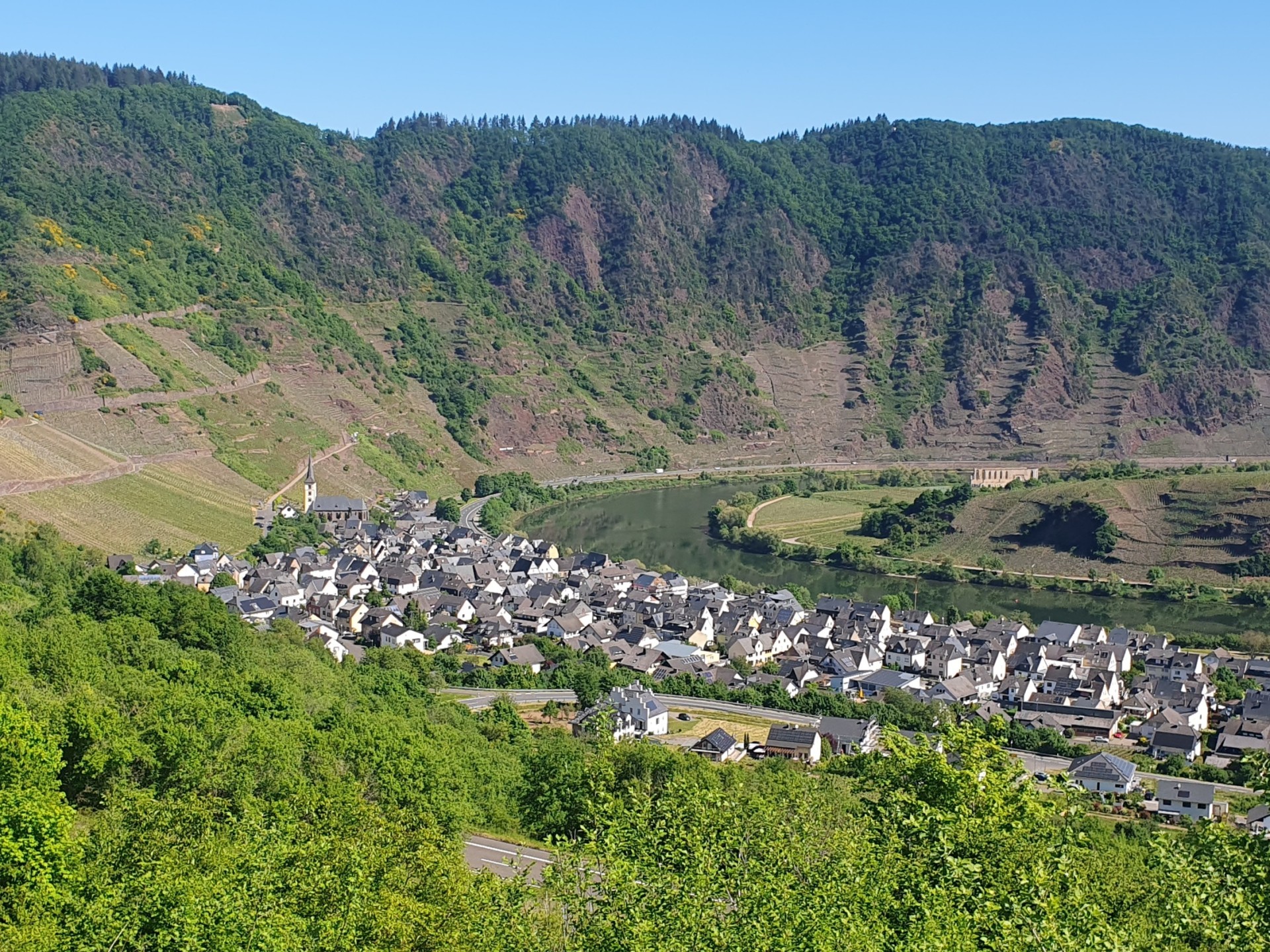 Weinberge